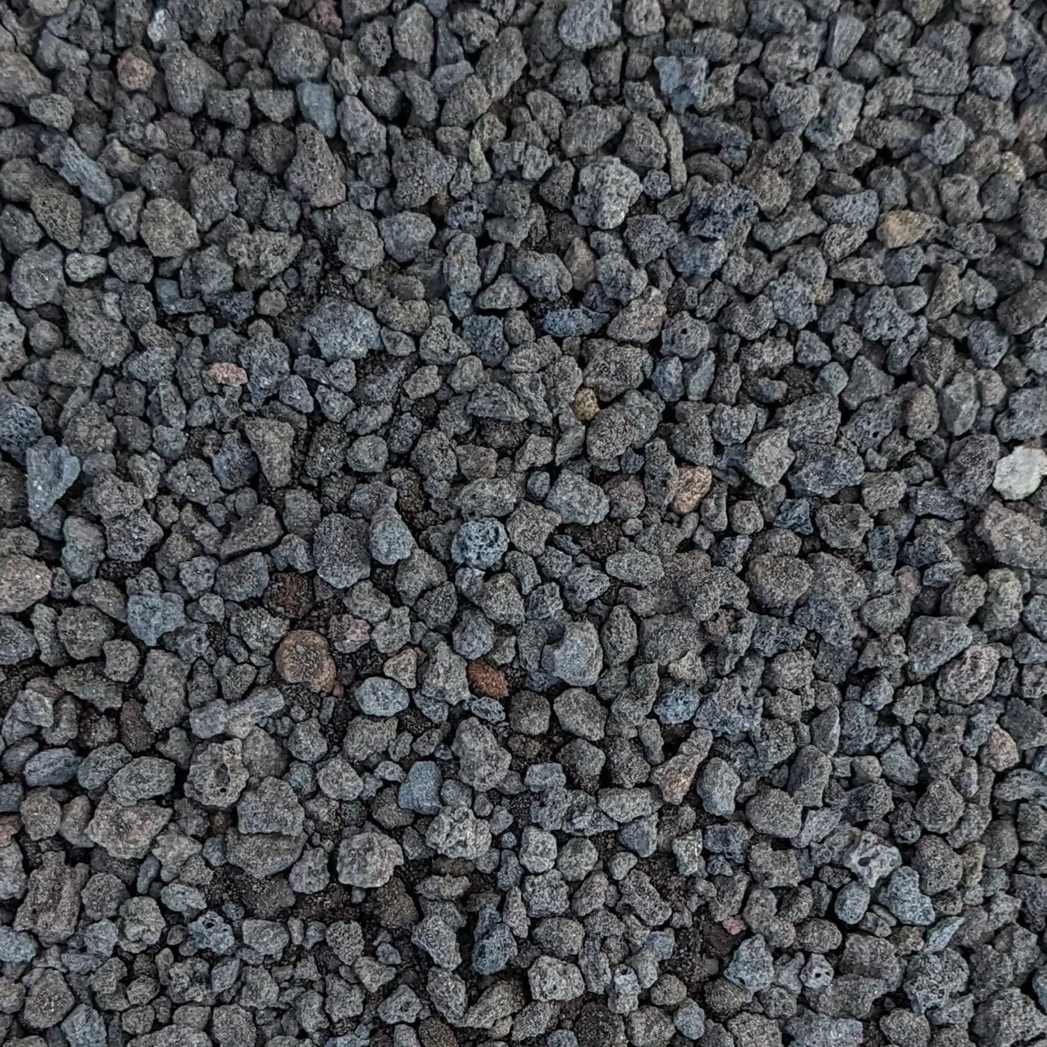 

Natural Black Lava Rocks for Plants, Horticultural Volcanic Rock 1/4" Size, Mined in USA, 10-lb Bag