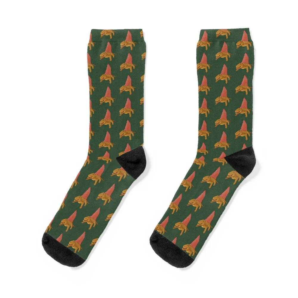 

Dimetrodon Socks Toe sports christmas stocking Crossfit warm winter Men Socks Luxury Brand Women's
