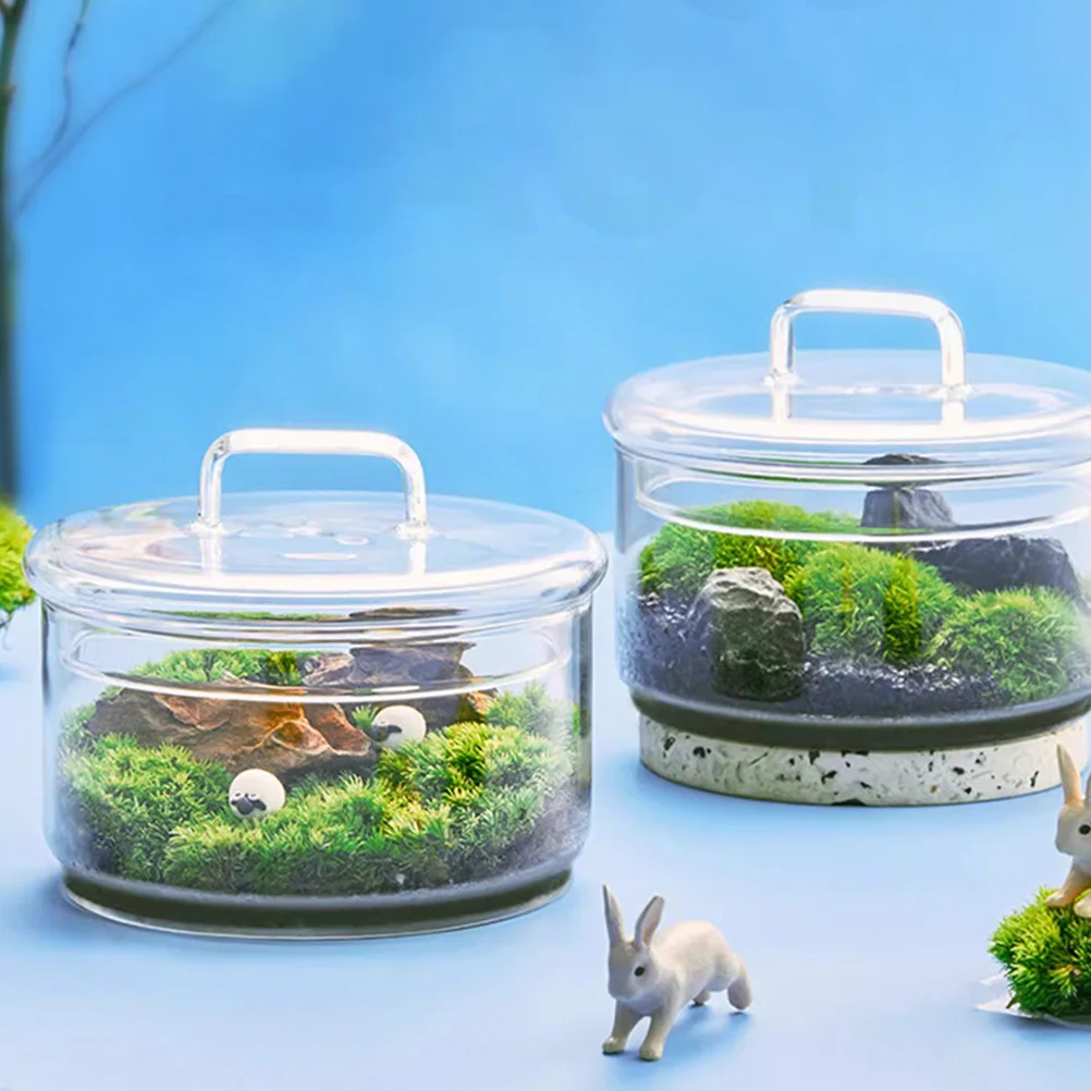 

Windowsill Planter Landscape Container Bottle with Lid Garden Decor Flower Vase