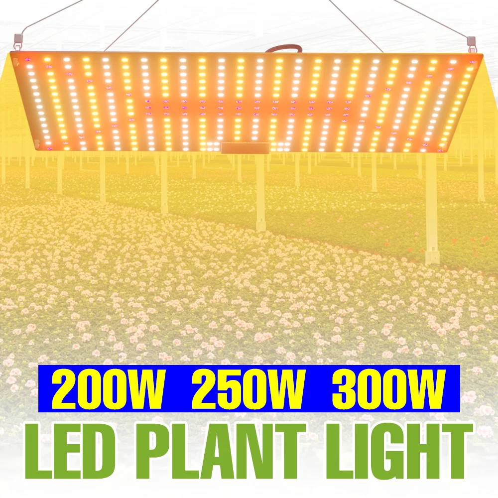 

300W Full Spectrum Grow Light 110V Quantum Board Plant Lamp 220V Greenhouse Hydroponic Vegs Succulents Cultivation Fill Lighting