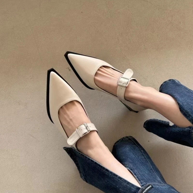 Spring Summer Pointed Toe Women Mary Jane Shoes Women Fashion Elegant Low Heel Shoes Ladies Casual Belt Buckle Pumps