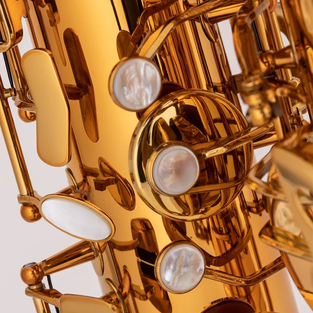 2025 Bb Eufonio Saxhorn Modelo de actualización con construcción profesional de latón