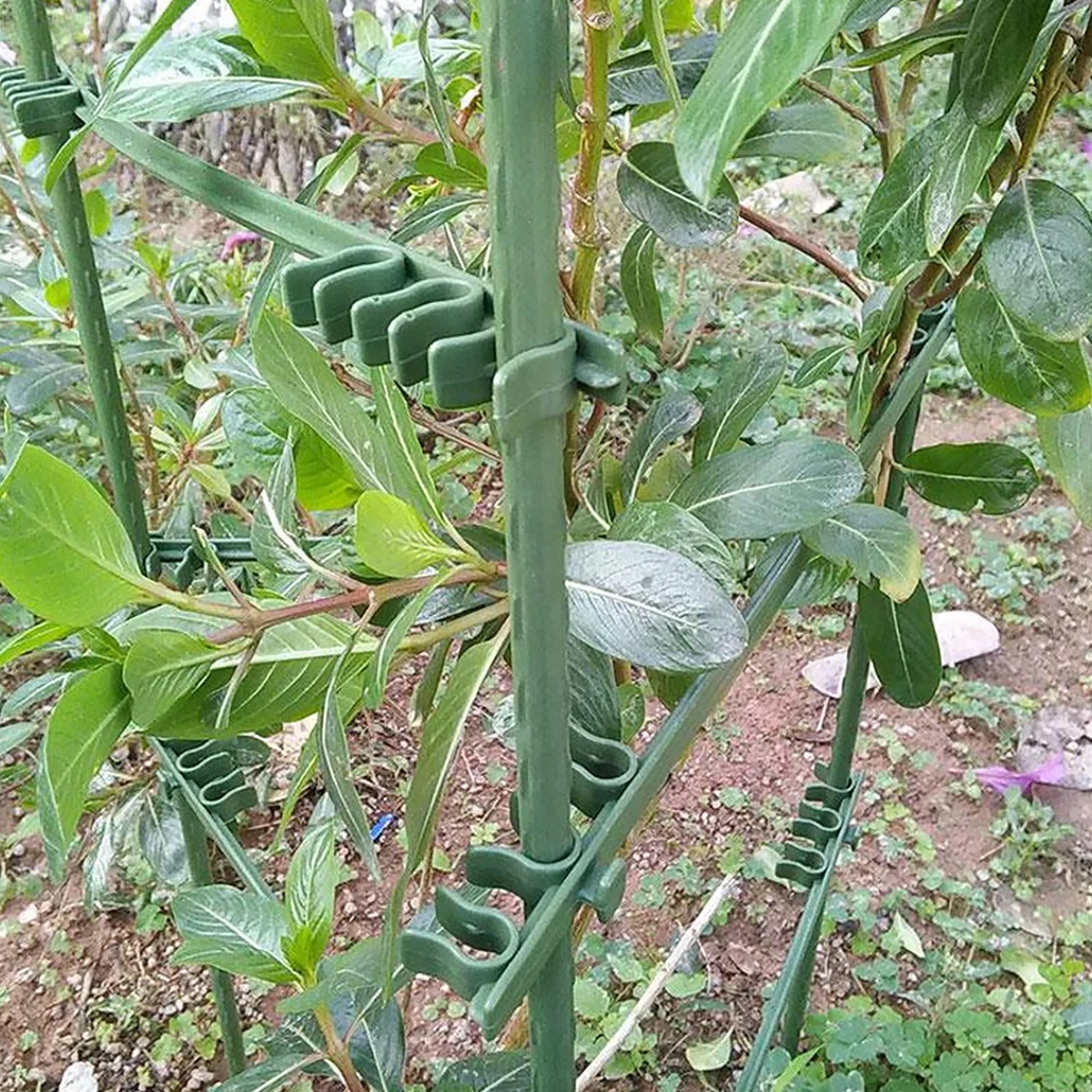 

50pcs Tomato Support Buckle Adjustable Plant Climbing Vine Support For Tomatoes Cucumbers 11Mm Round Tube Reusable Outdoor