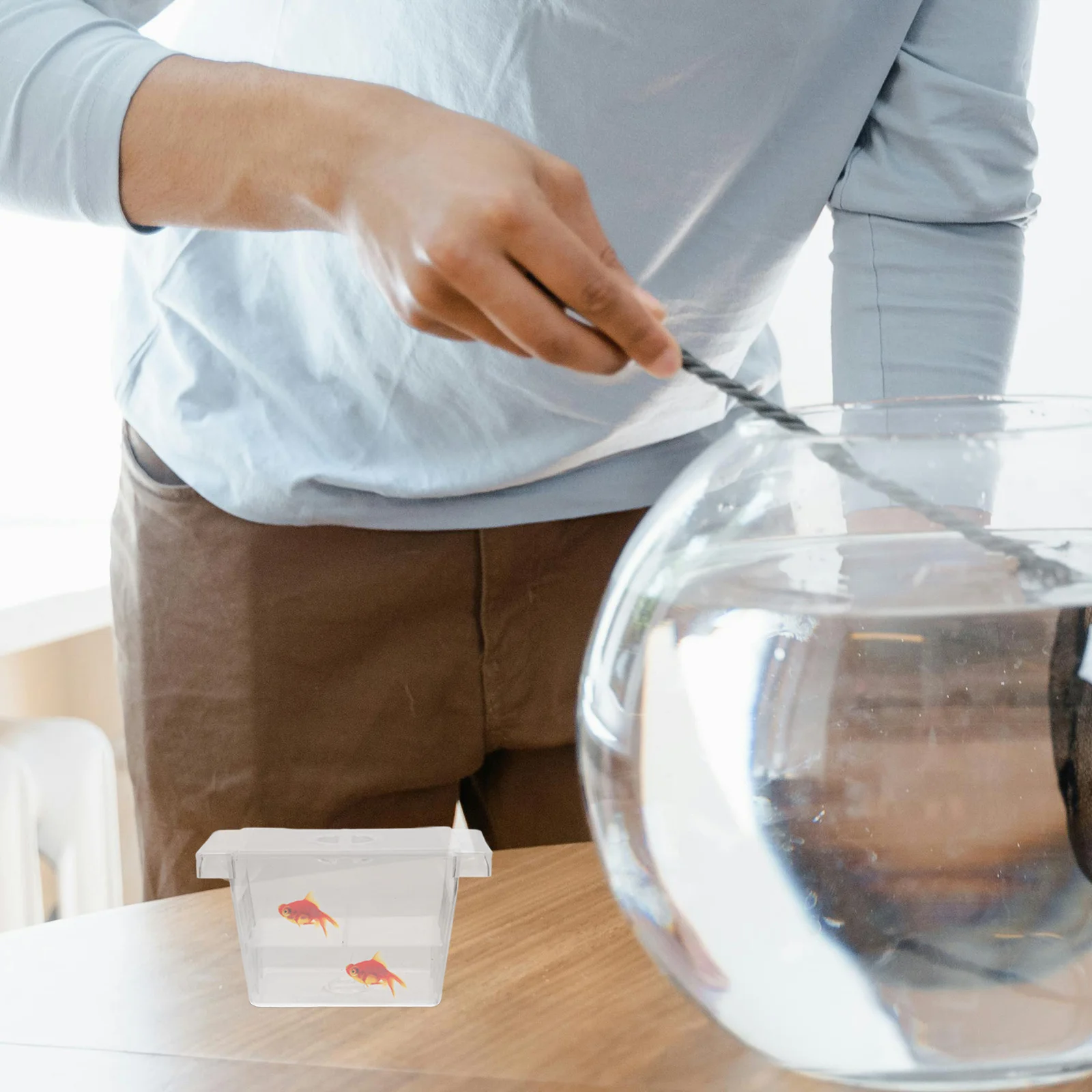 

Aquarium Fish Breeding Box Durable Practical Incubation Container Suction Cup Easy Install Fish Nursery Survival Improvement