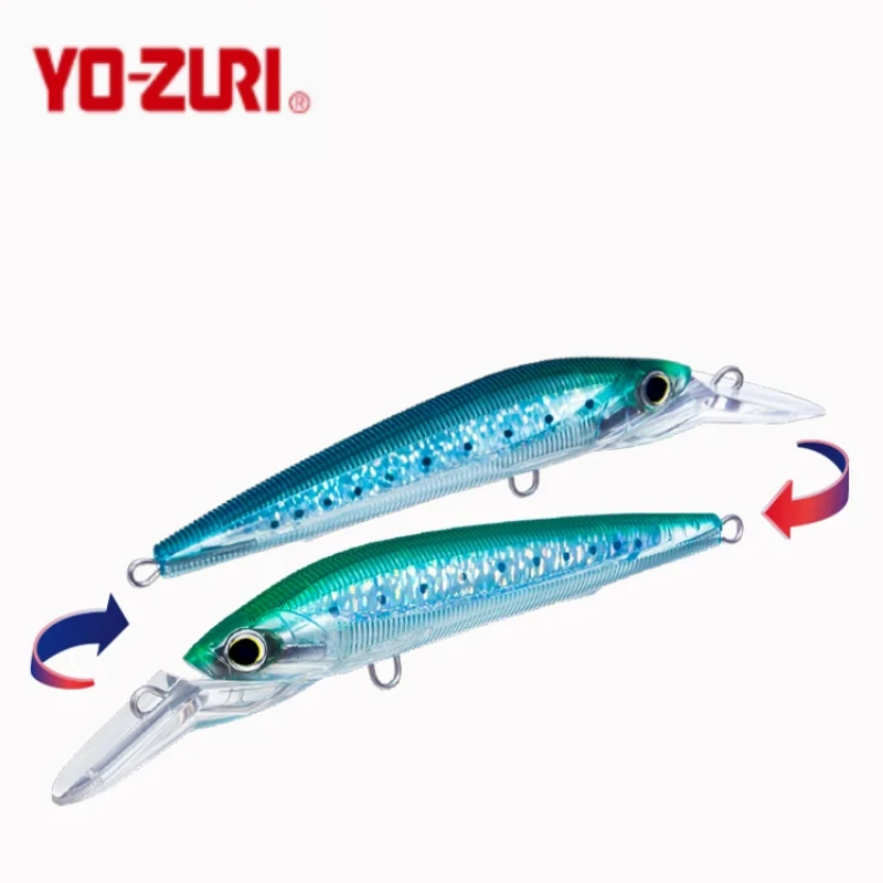 Appât flottant Yo Zuri Duel 3D méné de surface côtière 90 R1215-GHIW (7616