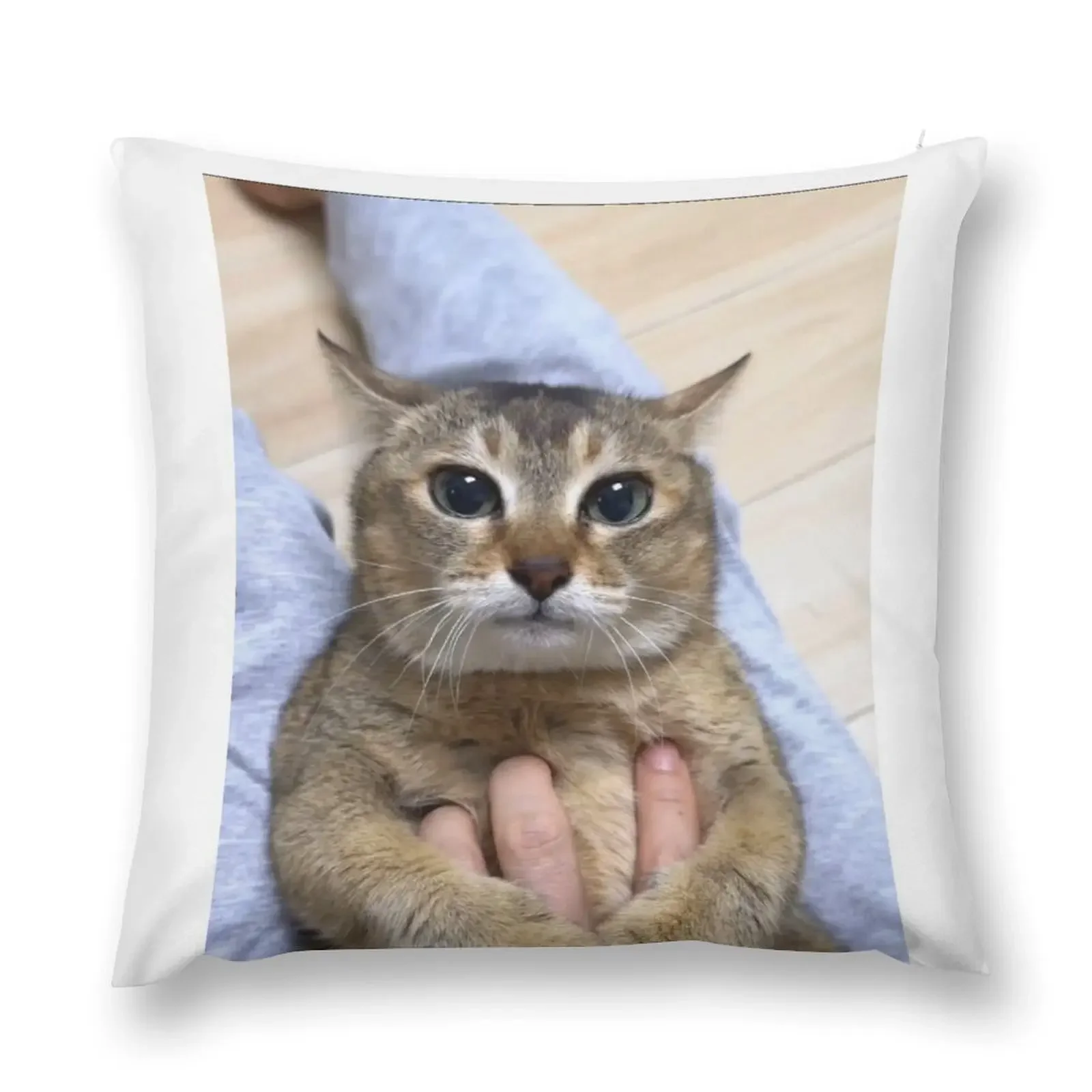 Tole tole vro cat Throw Pillow Custom Cushion Cushion Cover For Sofa Cushions Home Decor pillow