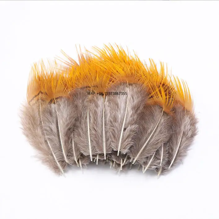 

Wholesale 4-8cm Natural Yellow Golden Pheasant Plumage for Fly Fishing Fly Tying