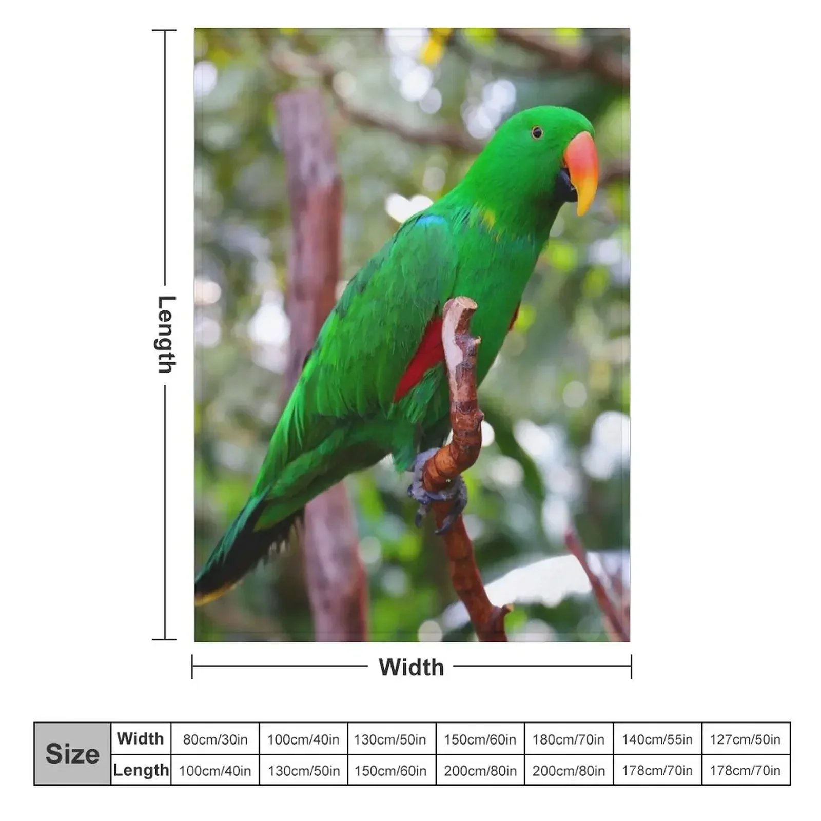 Stunning Eclectus Parrot on Branch Throw Blanket Warm Softest Blankets For Baby Decoratives Extra Large Throw Thin Blankets