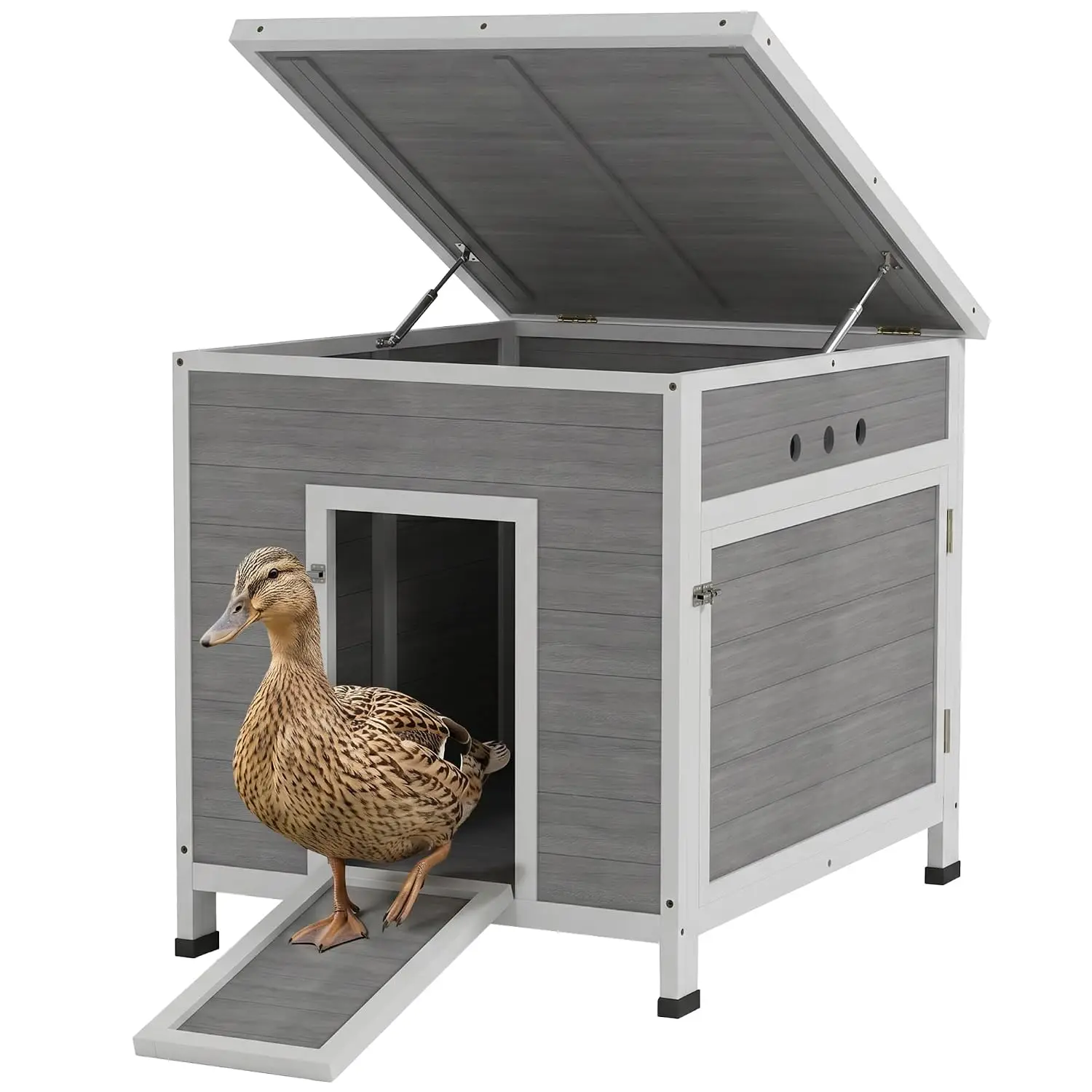 Wooden Poultry Coop with Openable Roof & Removable Floor, Double Doors & Ramp for 2-4 Chickens & Geese 25"x32"x30", Customized