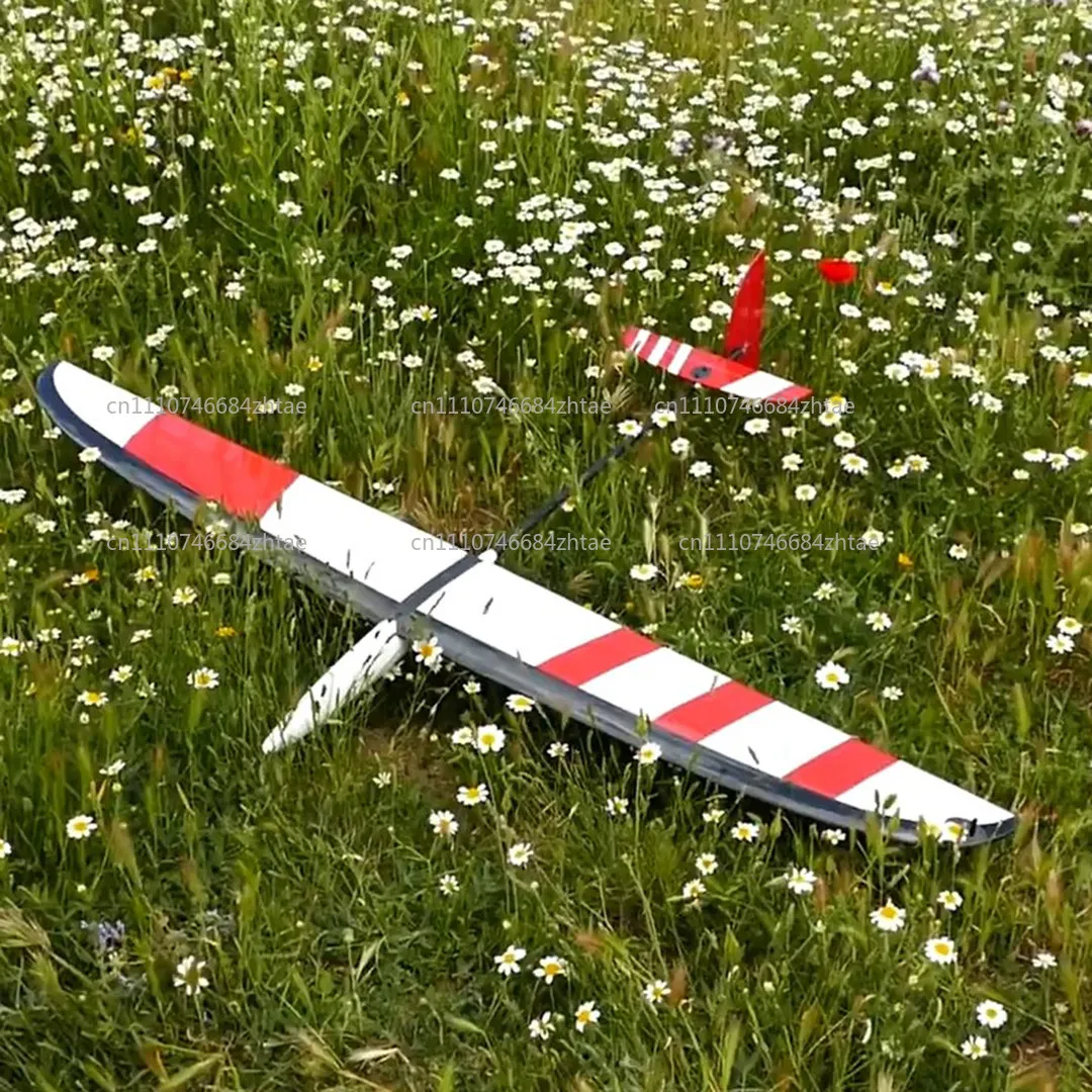 Glider F3k Hand Throwing Model Aircraft Fixed Wing Remote Controlled Electric Practice Aircraft Dlg Light Wood Model Aircraft