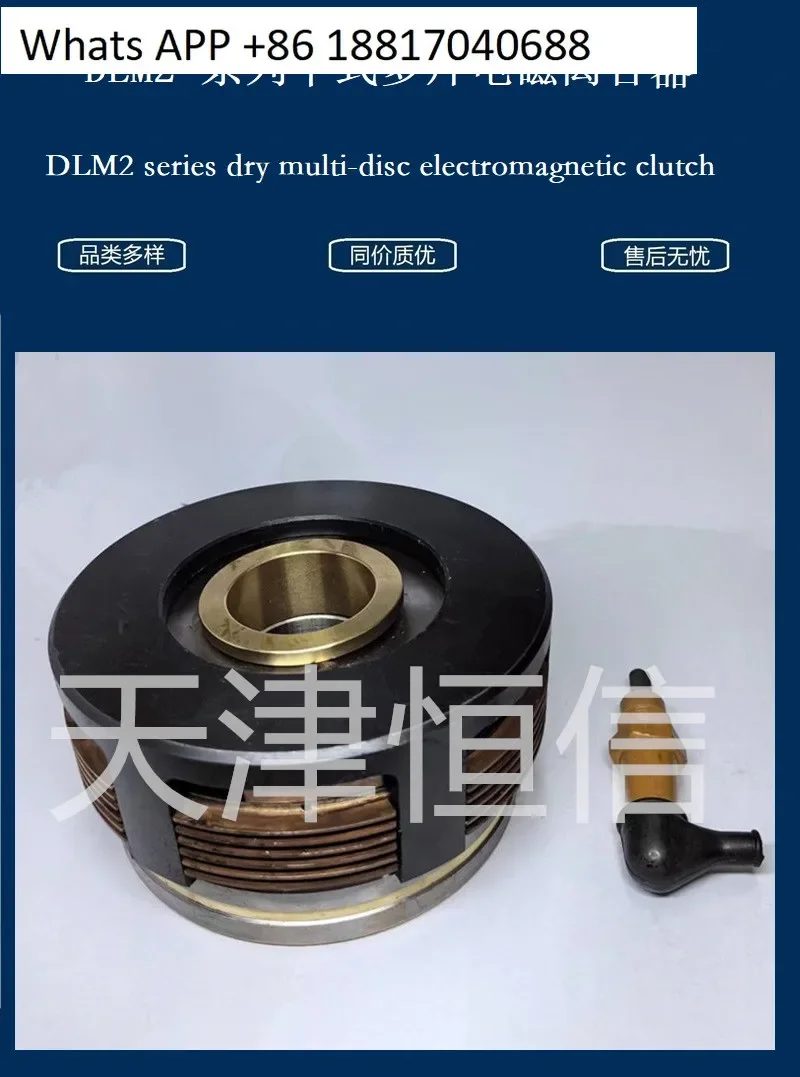 Frizione elettromagnetica a secco DLM2-40 Frizione elettromagnetica multipla