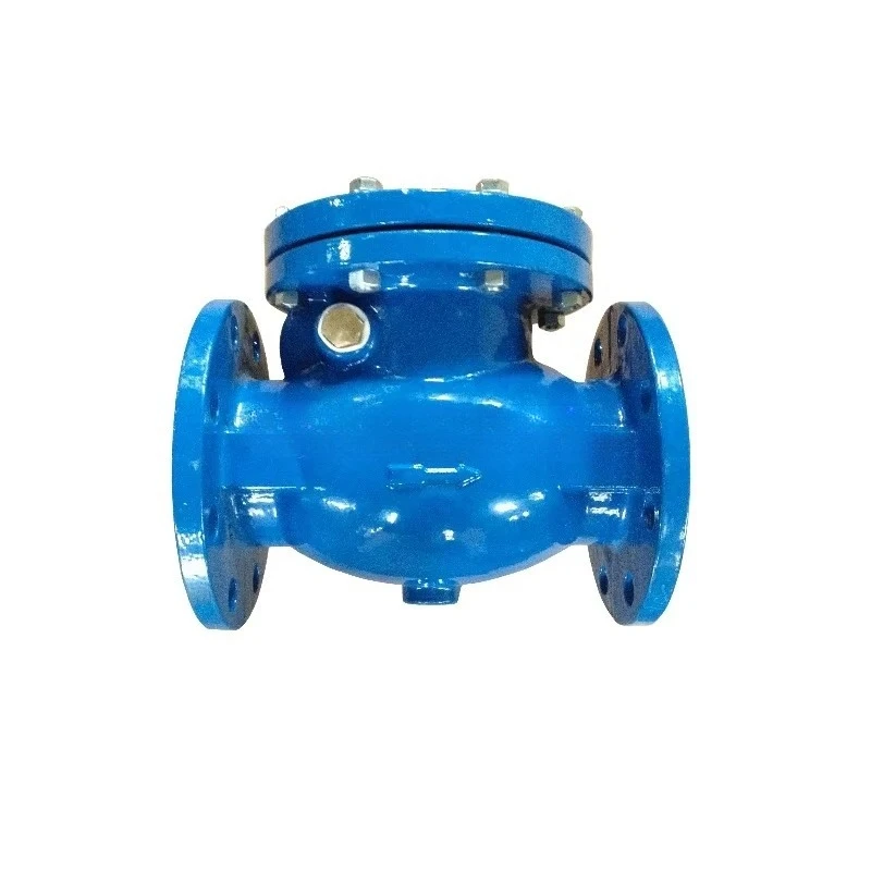 Rubber ball check valve for water, stem check valve