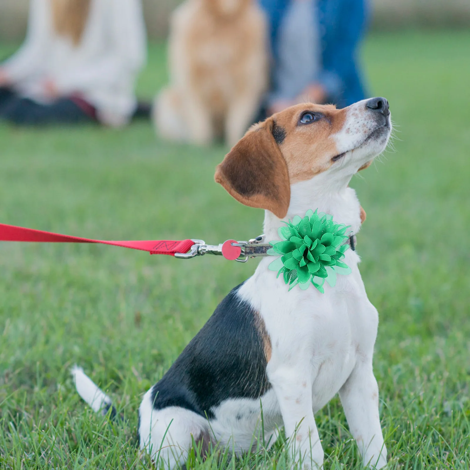 

10Pcs Pet Collar Flowers Premium Cloth Material Mixed Styles Easy Install Small Lightweight Lovely Pet Accessories