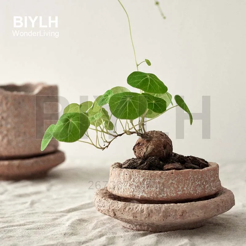 

Retro Green Plant Small Flower Pot Handmade Perforated Breathable Ceramic Basin Home Garden Decoration Terracotta Vase with Base