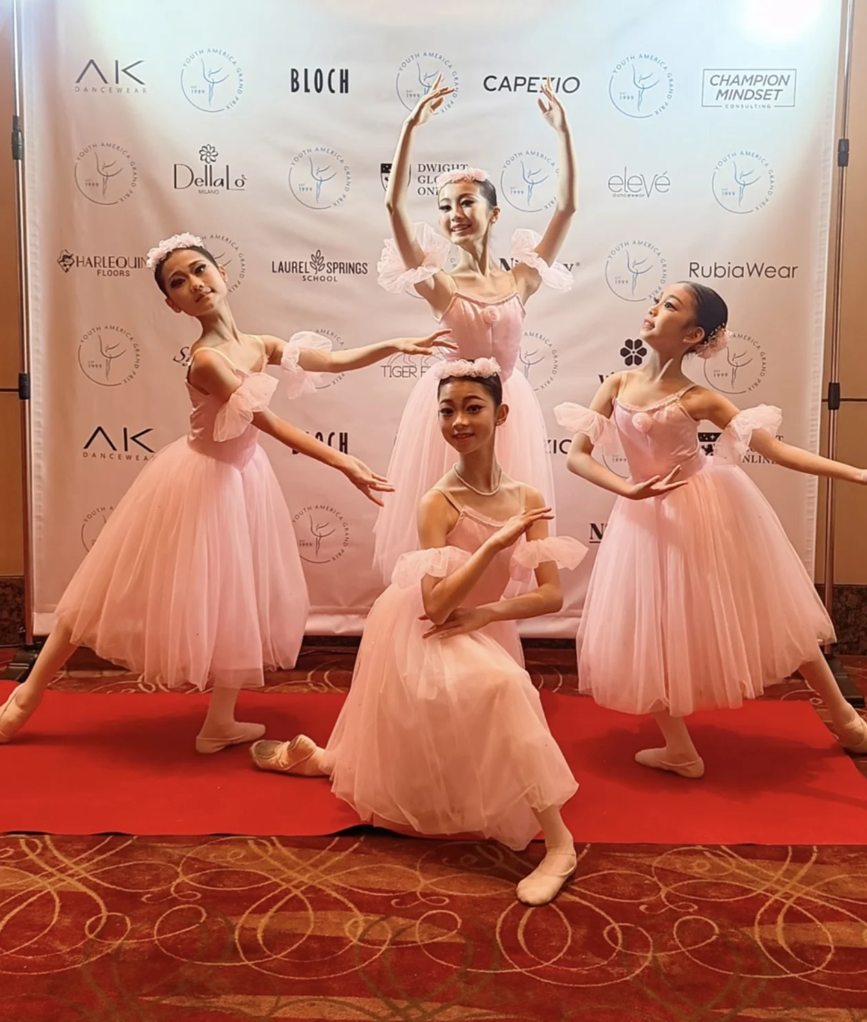 ballet-skirt-long-tulle-adult-performance-competition-dress-children's-ballet-costume-pink-fluffy-modern-ballet-dancewear