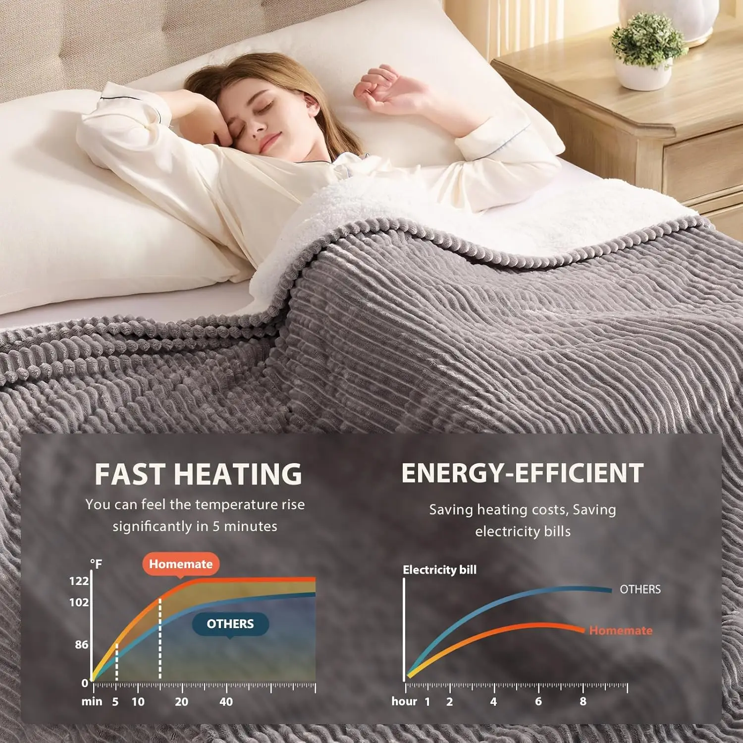 Queen Size Electric Heated Blanket - 84x90 Dual Control, 10 Heat Levels, Auto-Off Timer & Overheat Protection