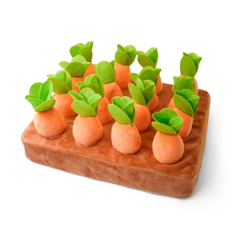 Giocattoli Montessori per bambini Giocattoli per bambini Giocattolo educativo a forma colorata Tirare CarotaSet Conteggio Discouvery Giocattoli per bambini che imparano