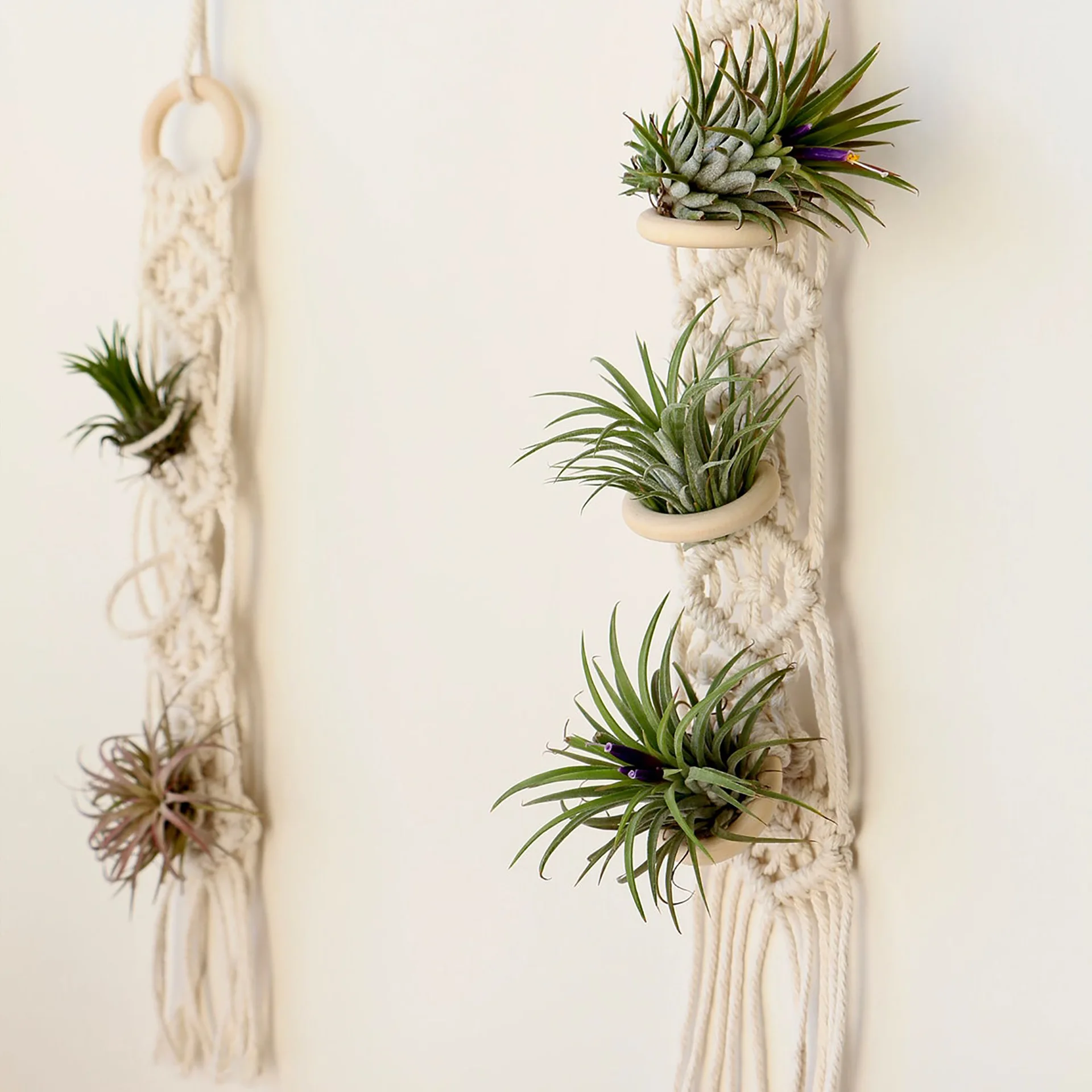 Colgador de macramé para plantas de aire, soporte colgante de piña de aire, de pared macetero, cesta de flores Boho hecha a mano, exhibición de