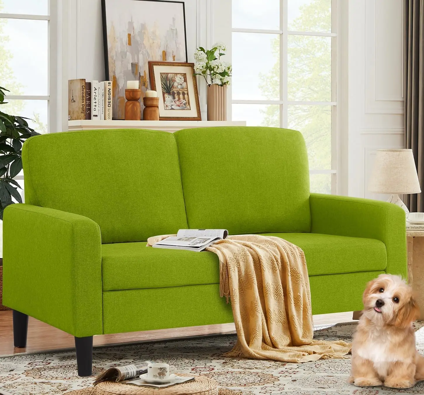 Small Loveseat Sofa 53