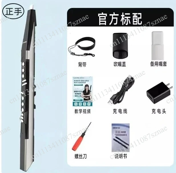 Digital Saxophone Piano - Popular Beginner Digital Wind Musical Instruments for Learners