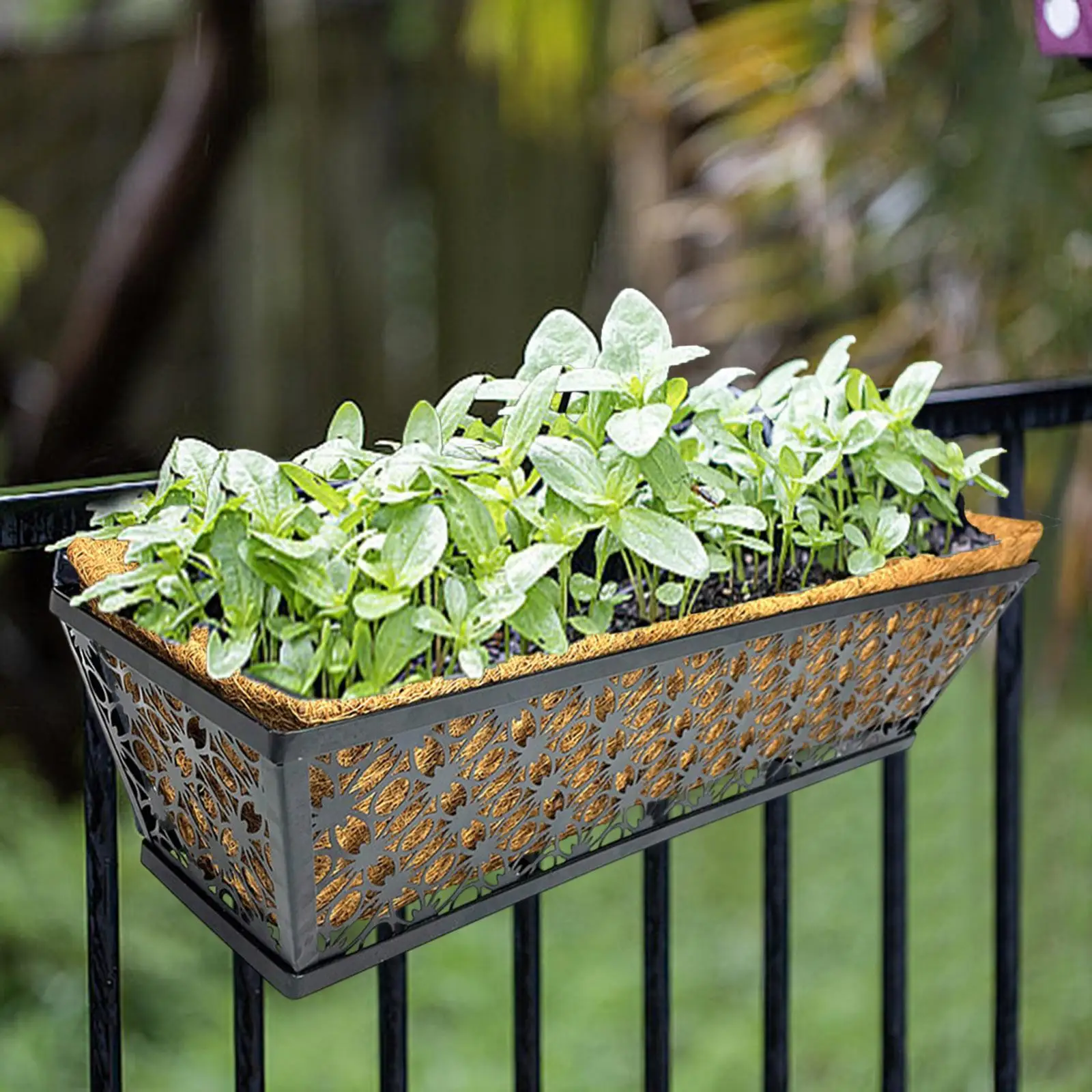 Window Box Railing Planter Holder Black Iron Hanging Flowerpot Organizer for Balcony Fence