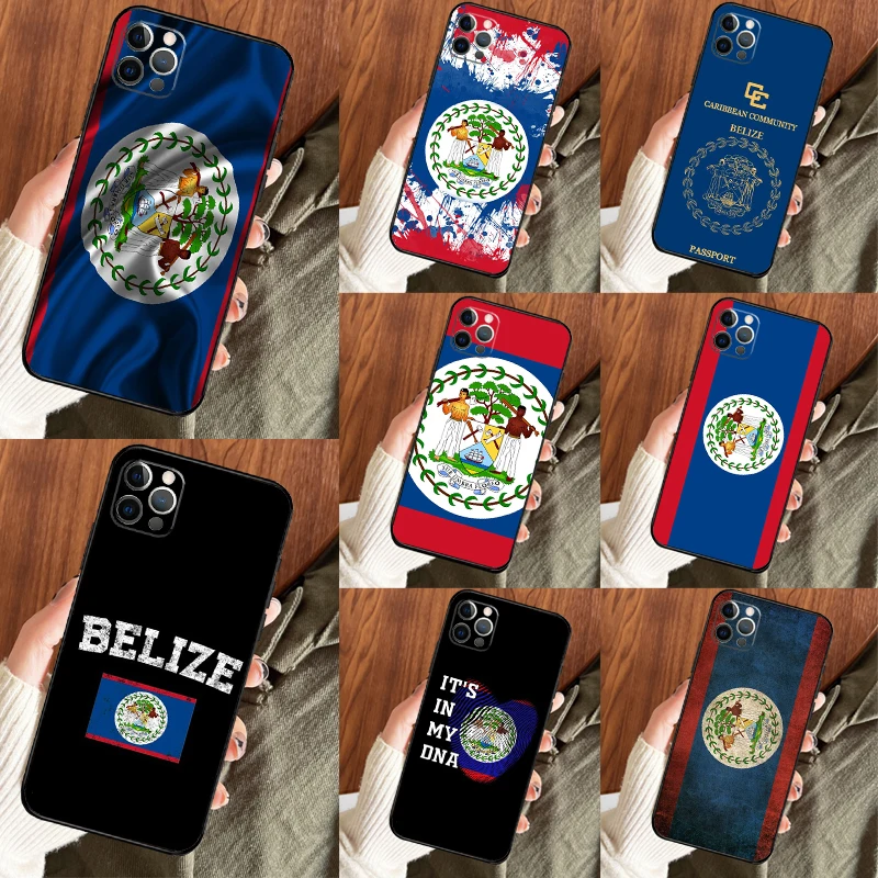 Belizean Flag For H… - image