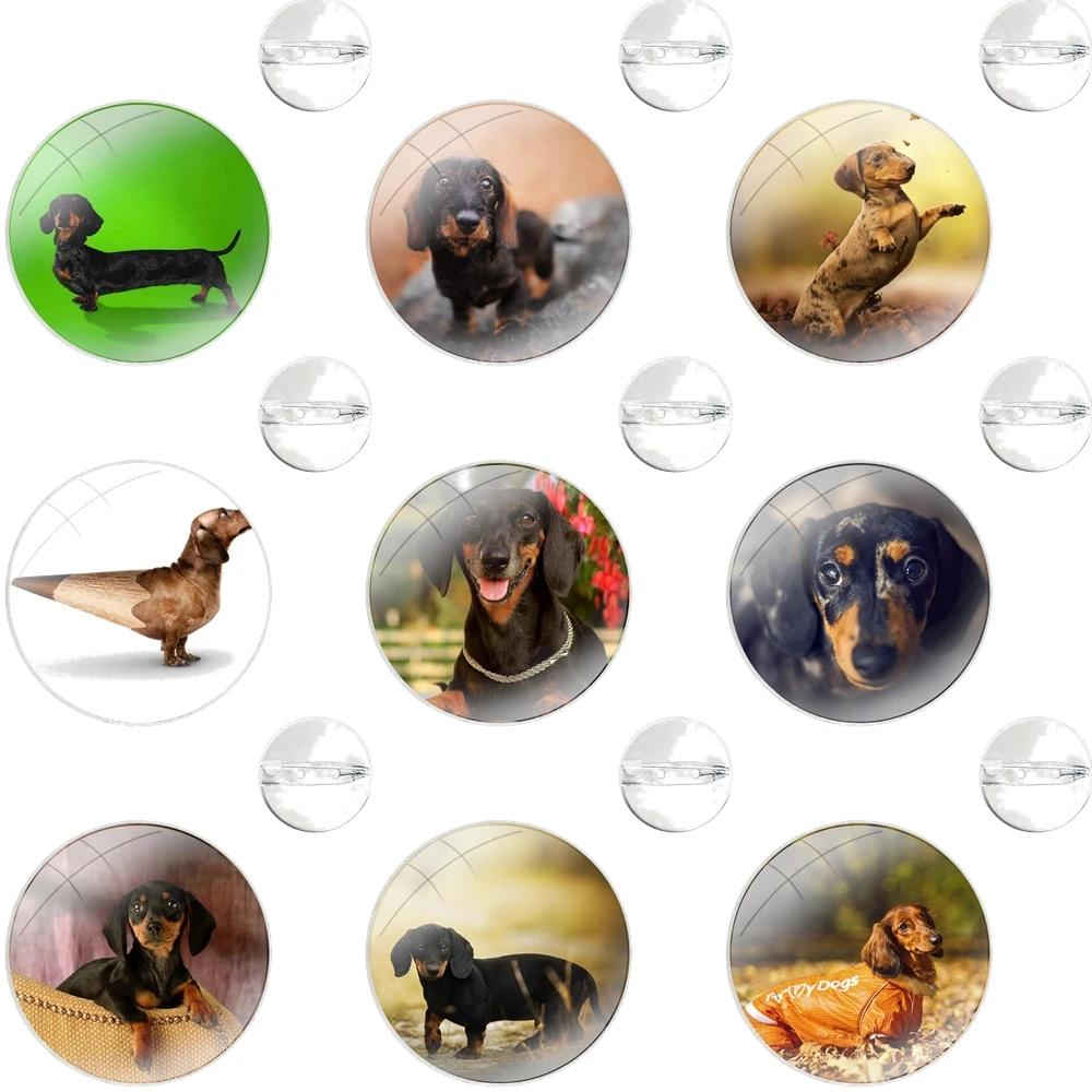 Pins Badge Metal Brooches For Clothes Backpack Decoration gift Dachshund