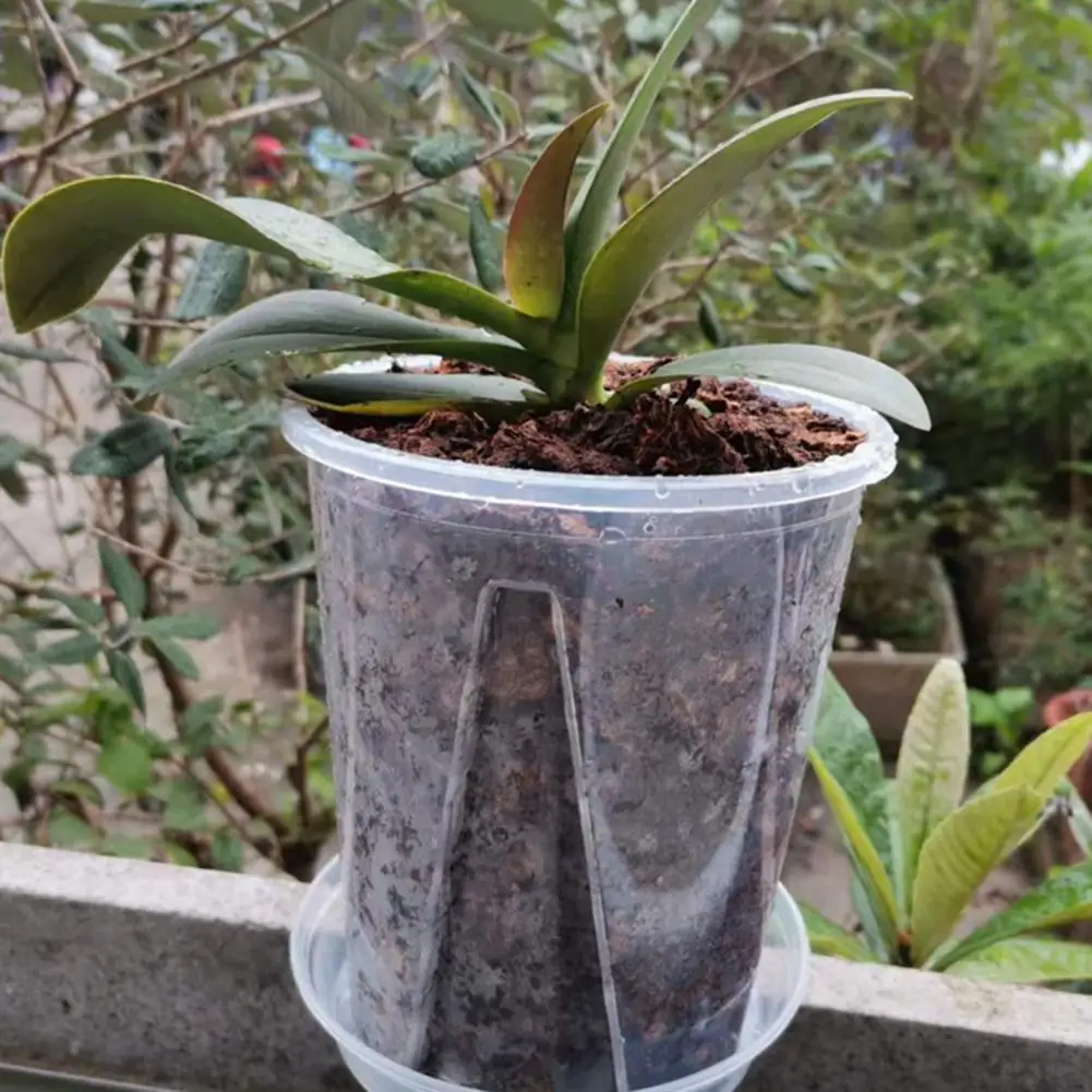 Plant Pot Transparent Thickened Large Capacity Flowerpot Breathable DIY Plant Plastic Permeable Tall Flower Pot Garden Supplies