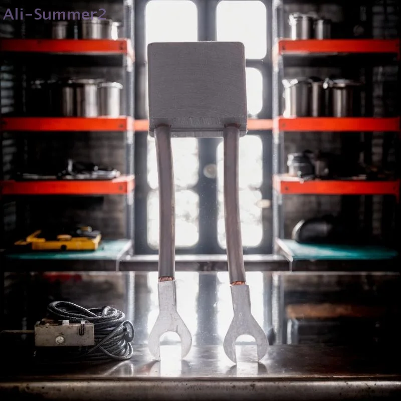 {Summer2} طقم فرشاة كربون 32 * 28 * 12.5 مم للجري بكفاءة لعربات الجولف والمركبات السياحية #3