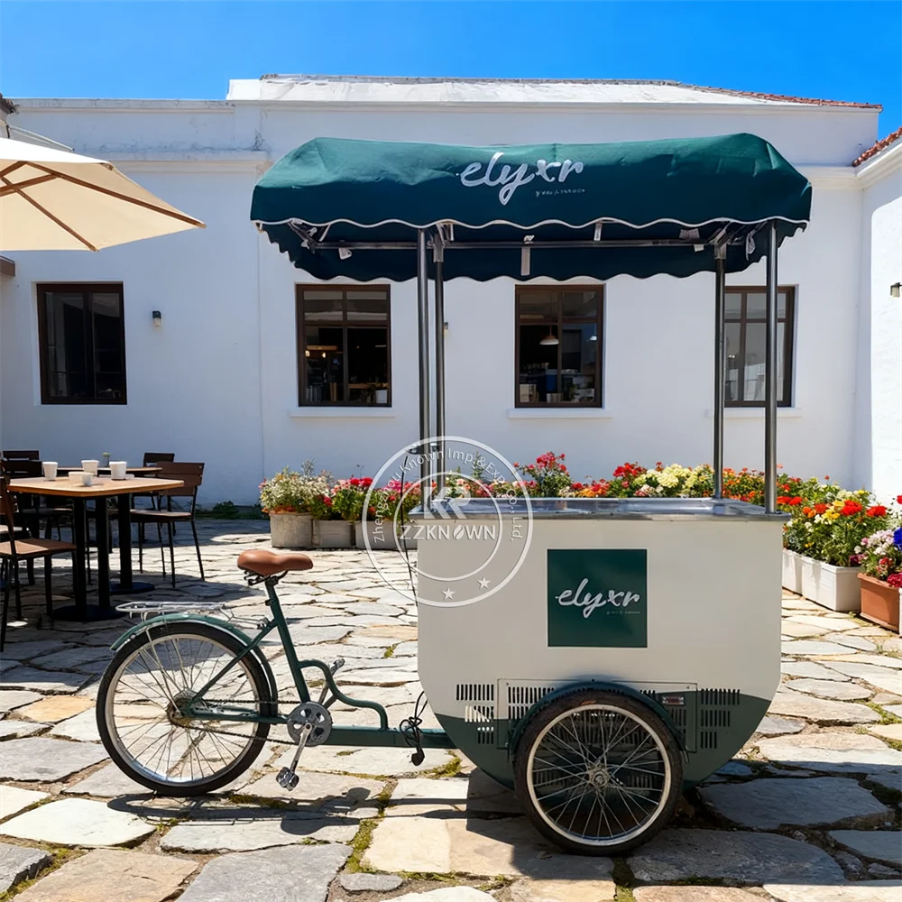 

Custom Made Cooling Food Cart Electric Push Cart Freezer Display Ice Cream Cart for Food Retail Hotels Bakeries Ice Cream Shops