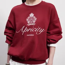 New Arrival Y2K Terry Cotton Crewneck Sweatshirt Women Oversize Street Fashion Pullover Vintage Style High Quality Paris Jumpers