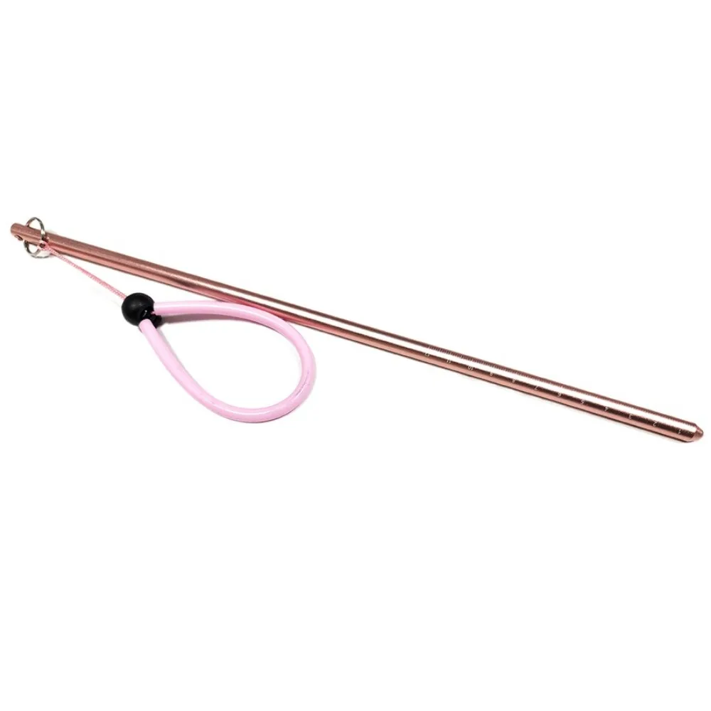 

Aluminum Alloy Diving Lobster Stick Diving with Measurement Underwater Diving Rod Underwater Mixer 35cm Diving Pointer Rod