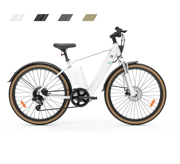 Portable and Environmentally Friendly Mountain E-Bike Foldable Hydrogen Electric Bike