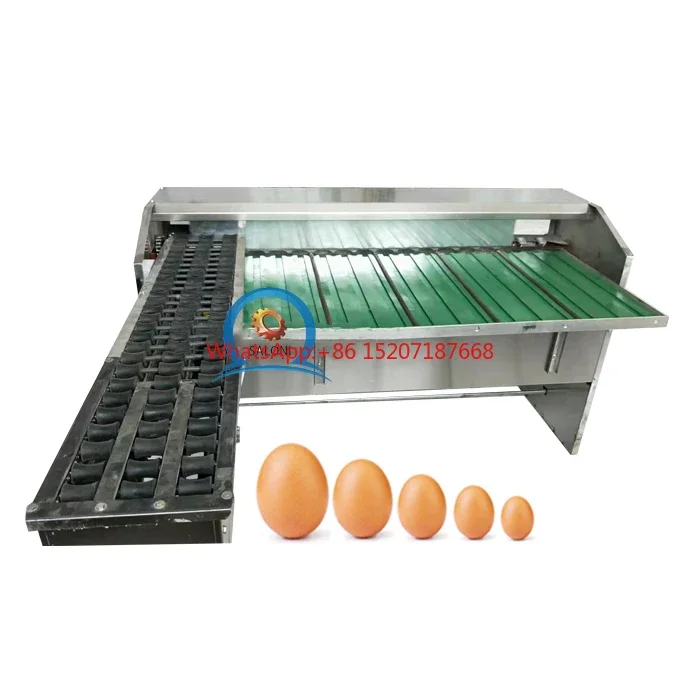 5 row lane egg sorter scale and grader weigh inspection 10000 egg/hr duck egg grade machine for sale