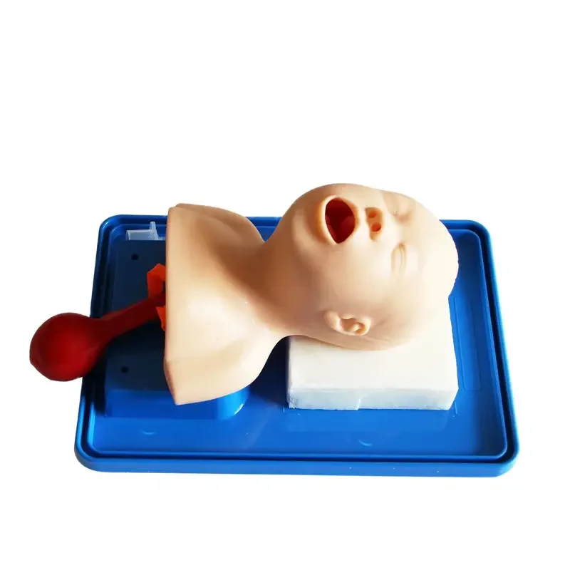 

Neonatal Tracheal Model, Newborn Infant Intubation Training Mannequin