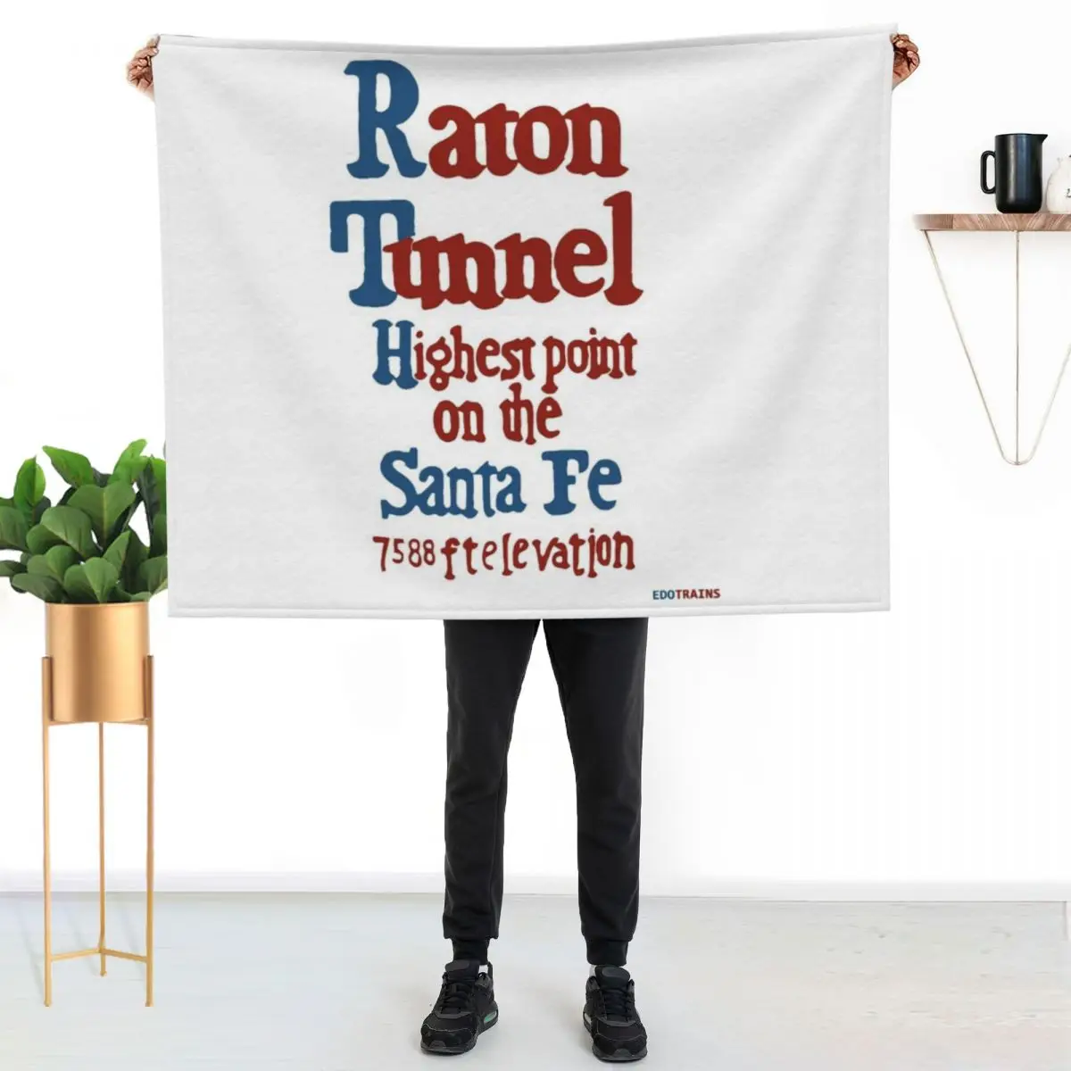 Raton Pass Sign - sign along Santa Fe Railroad Throw Blanket warm for winter funny gift Thins Designers Comforter Blankets