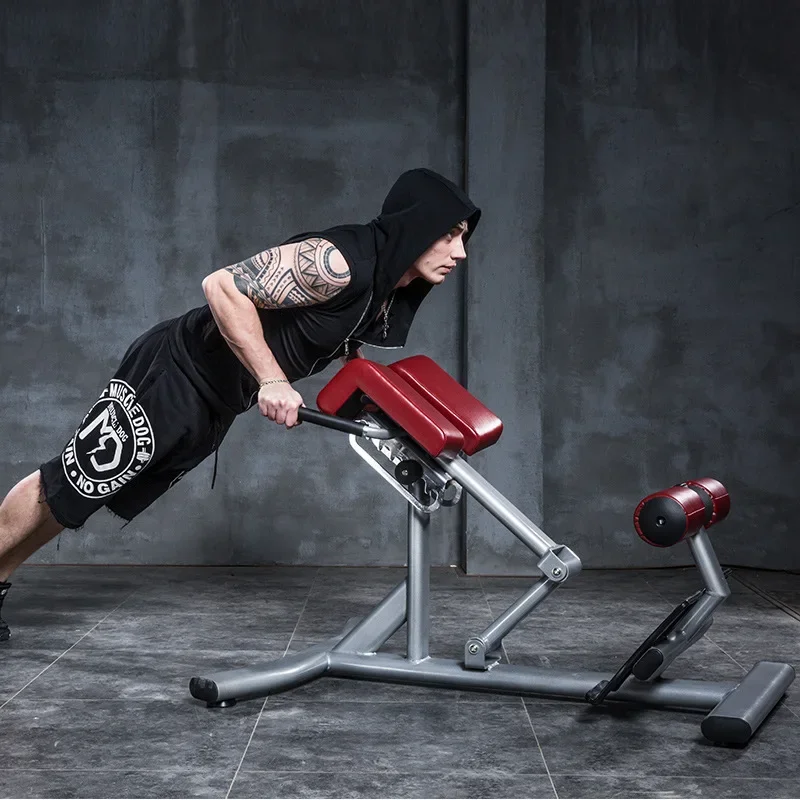 Professional Fitness Roman Chair Home Goat Stretching Waist Abdominal Back Muscle Trainer Gym