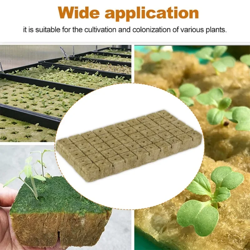 300/50Pcs Planting Sponge Stone Wool Starter Plugs Hydroponic Grow Media Cubes Seedling Grow Block Greenhouse Garden Supplies