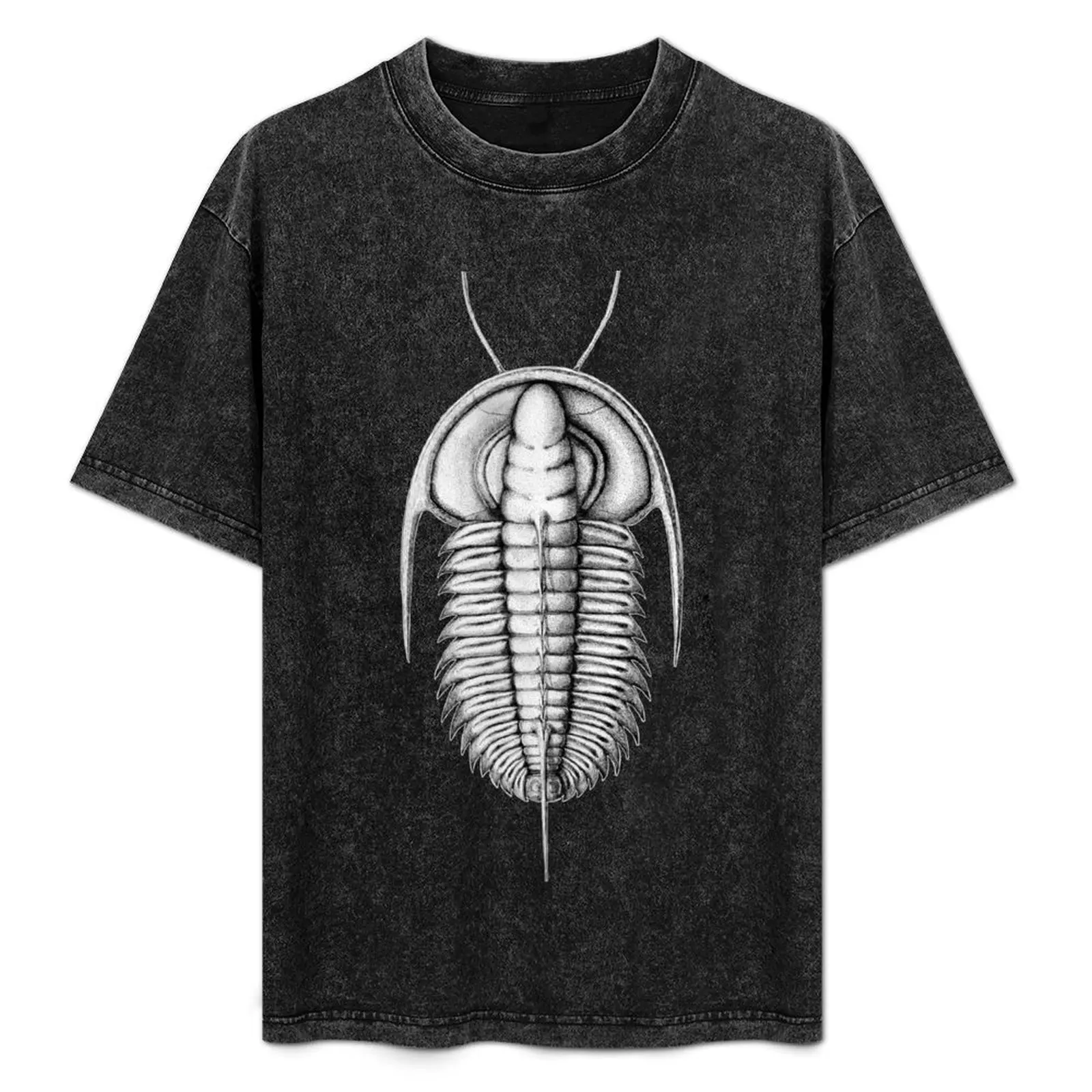

Redlichia, Cambrian Trilobite from Kangaroo Island T-Shirt Sports Basic Short Sleeve T-Shirt