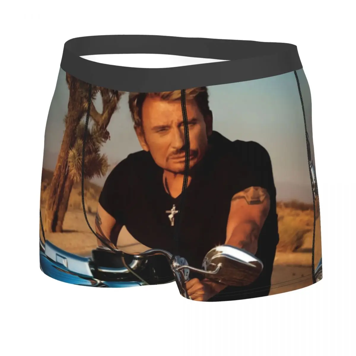 Custom French Rock Singer Johnny Hallyday Underwear Men Stretch Boxer Briefs