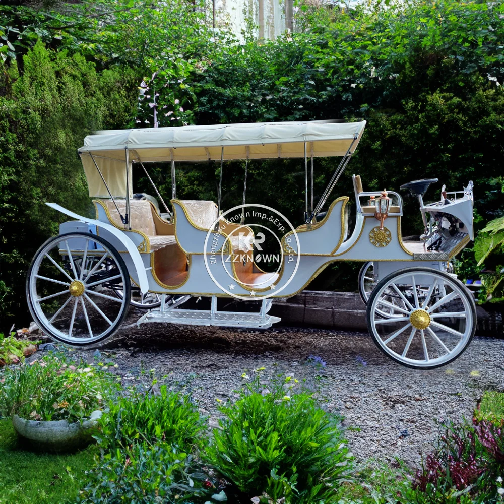 

Премиальная европейская винтажная туристическая конная повозка класса люкс для экскурсий и тематических парков