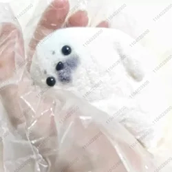 Seal Taba Squishy Silicone Cute Fuzzy Seal Squeeze Toy Animal Mochi Toy Relieve Stress Hand Relax Toy