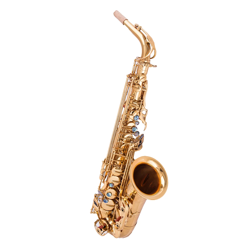 Saxophone price directly selling famous like brand alto saxophone