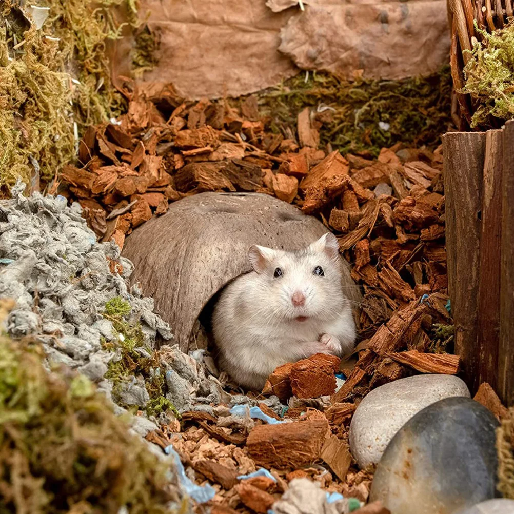 

2pcs Decorative Reptile Hideouts Small Reptile Shelter For Terrarium Decor Hermit Crab Cave Coconut Shell Resin Hideout Pet