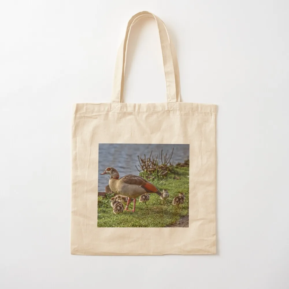 

Bird Life: A pair of Egyptian Geese with their new goslings Tote Bag Canvas stote bag hand bag shoping tote