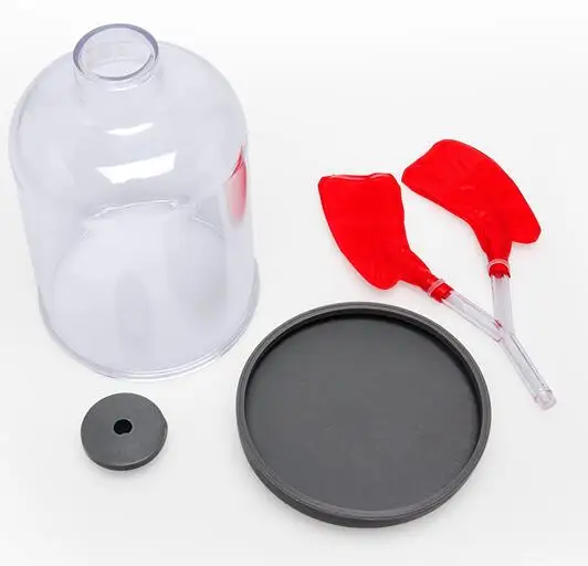 Pulmonary Breathing Model Diaphragm Movement Simulation Demonstrator Pulmonary Alveolar Working Principle Biology Teaching Aids