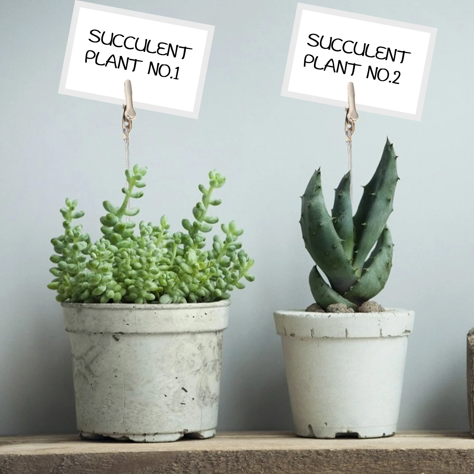 

50Pcs Alligator Clamps Photo Holder Long Tail Metal Wire Clips for Pictures Memo Cards DIY Crafts Wall Display