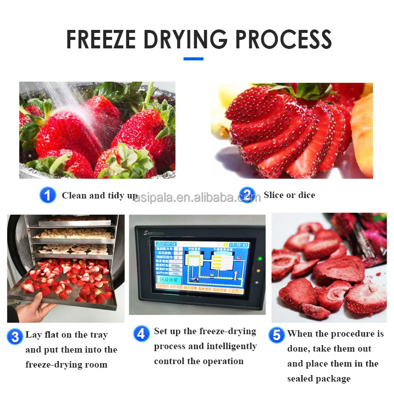 OEM 1-2 kg/batch Small Vacuum Fruit Food Freeze Drying Machine Home Use Vegetable Freezer Dryer With Pump