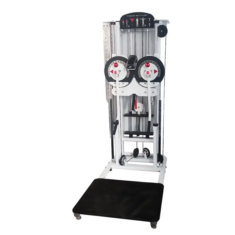 

Multi Functional Gym Pin Load Selection Machines Standing Lateral Raise Machine Standing Multi Flight
