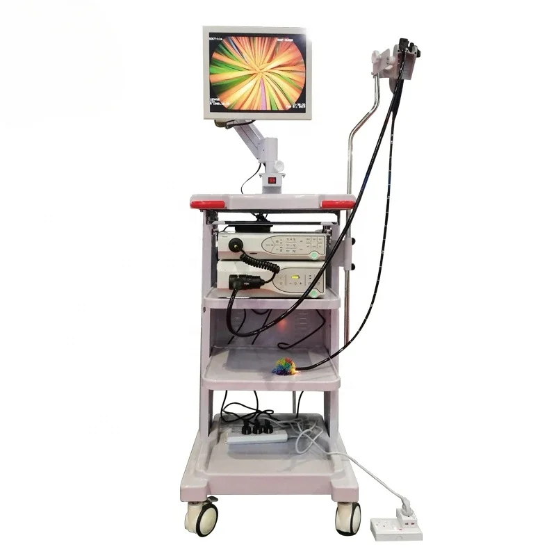 IN-P6100 flexible video gastroscopes s with image processor endoscopes System